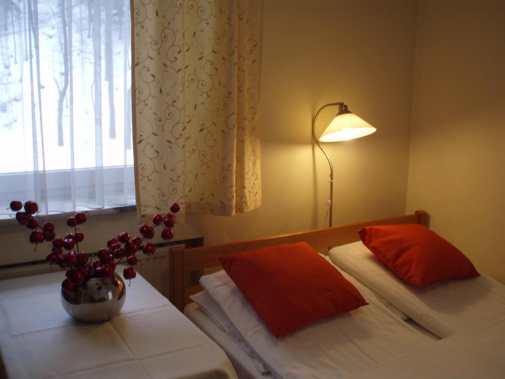 Willa Potok Krynica-Zdrój Exterior foto